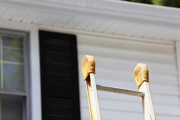 Best Aluminum Siding Installation  in Creve Coeur, IL